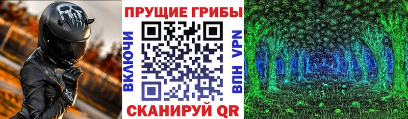 даркнет сайт  Брюховецкая  Псилоцибиновые грибы Cubensis 
